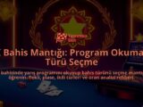 TJK-Bahis-Mantigi-Program-Okuma-ve-Turu-Secme-overlay-1788171185.jpg